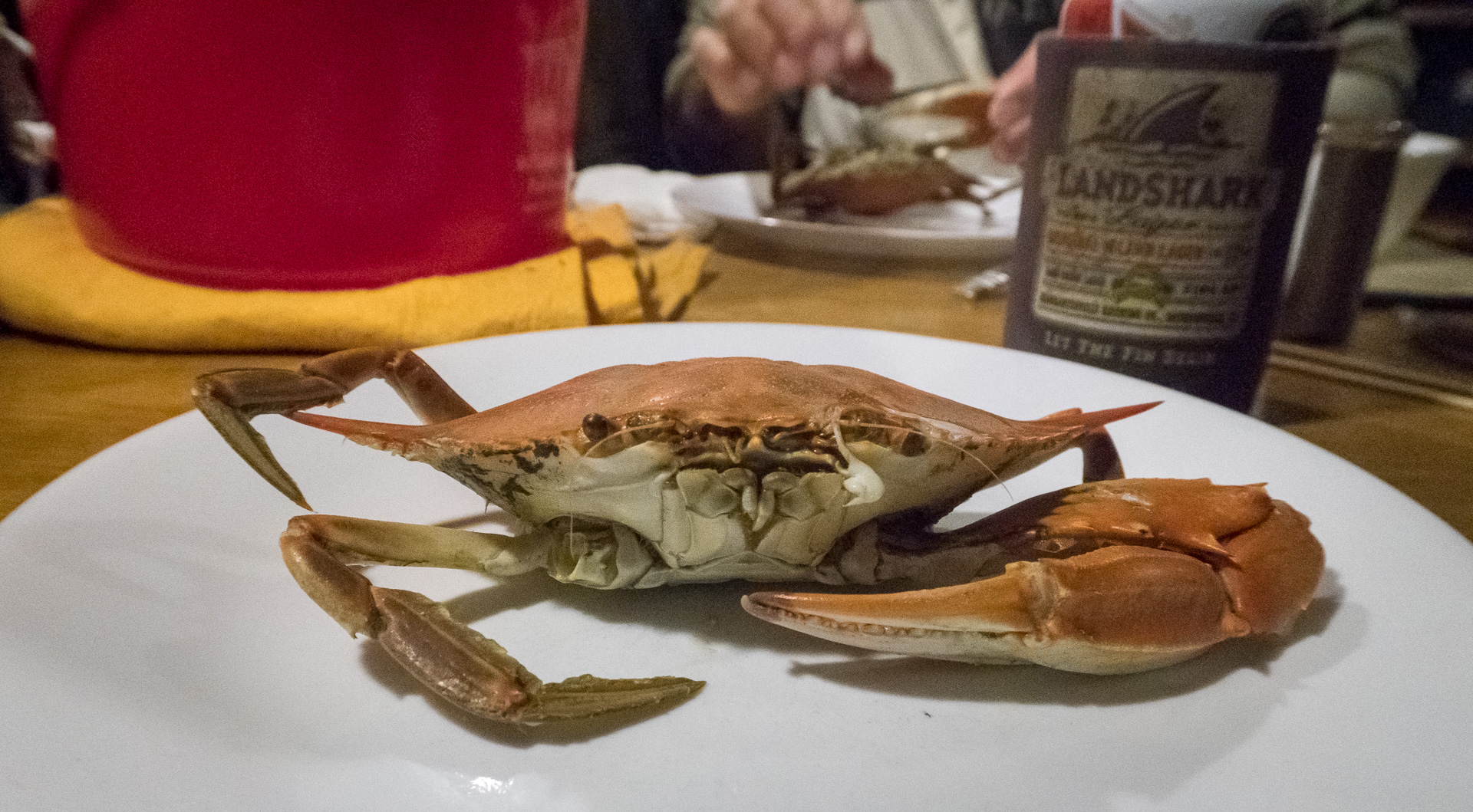 Sailboats, Midshipmen and Blue Crabs, Oh My!